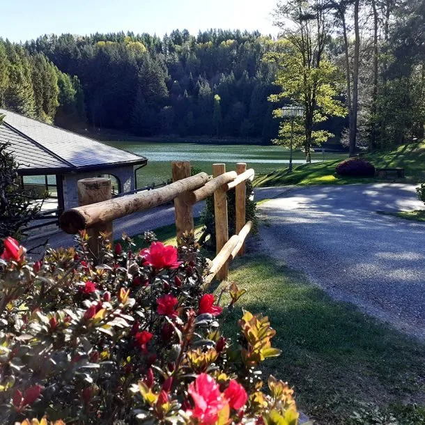 I fiori lungo il viale del ristorante